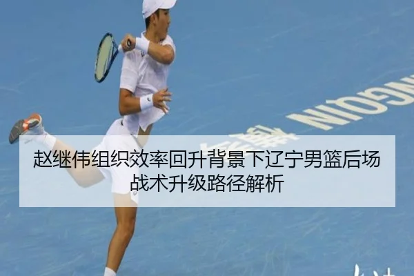 赵继伟组织效率回升背景下辽宁男篮后场战术升级路径解析